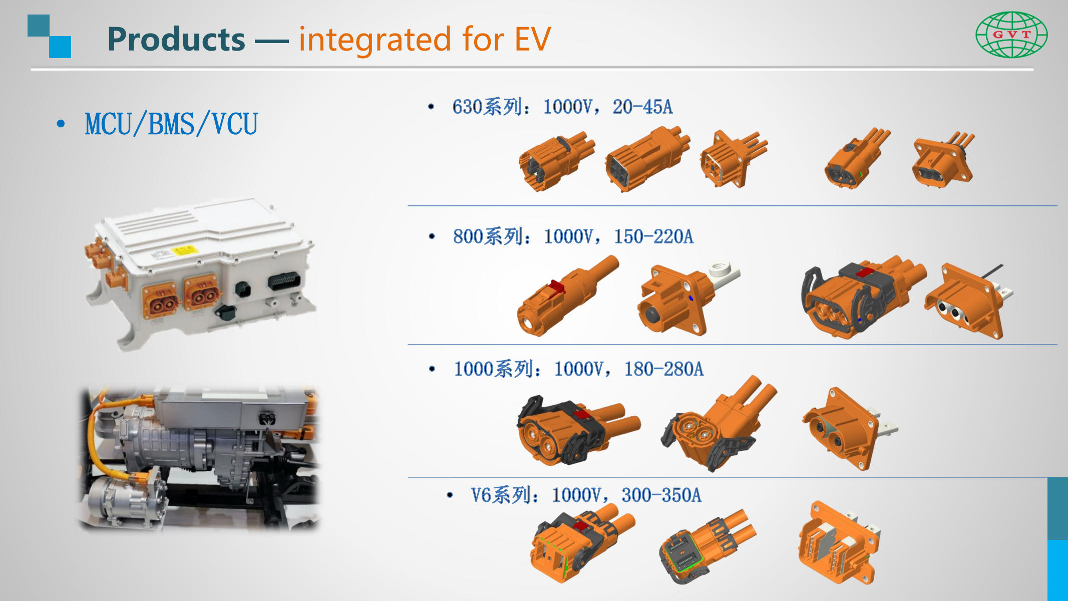 Company Profile of GVT(1)_16