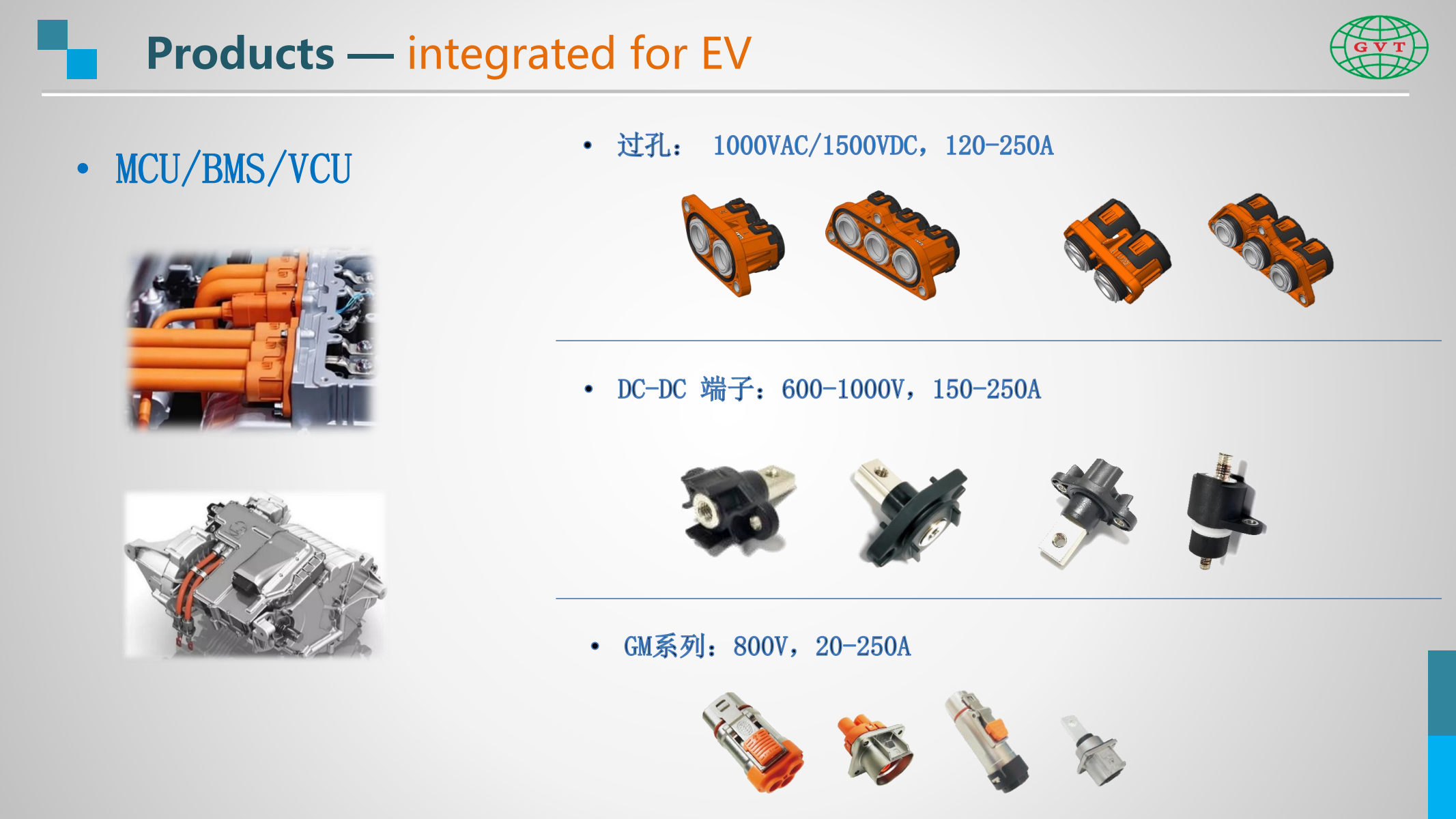 Company Profile of GVT(1)_17